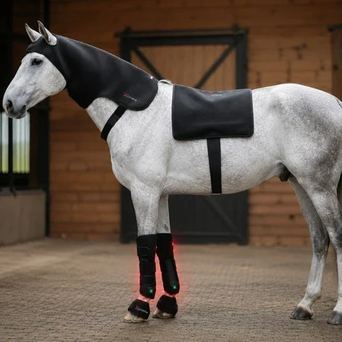 Wit paard bij de stal met halskap, rugdeken en rood oplichtende beenwraps