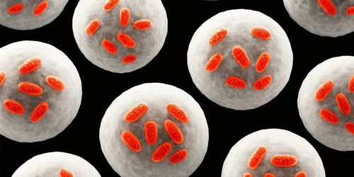 Schematische weergave van mitochondrien en ATP-productie bij roodlichttherapie