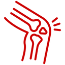 Joint support