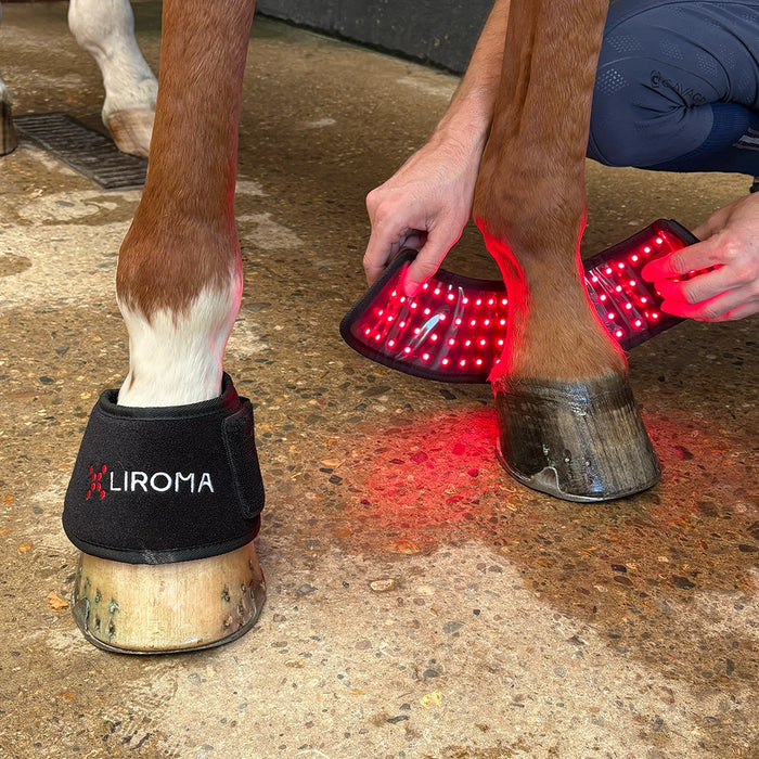 The Hoof